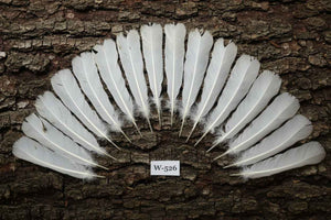 16 Pcs White Turkey Tail Feathers, Turkey Feathers,Fly Tying Material,Craft Feathers,Natural Turkey Feathers (W-526)