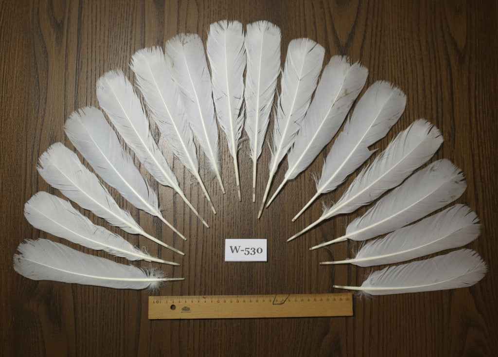 16 Pcs White Turkey Tail Feathers, Turkey Feathers,Fly Tying Material,Craft Feathers,Natural Turkey Feathers (W-530)