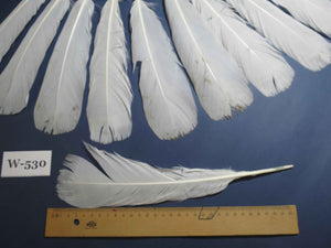 16 Pcs White Turkey Tail Feathers, Turkey Feathers,Fly Tying Material,Craft Feathers,Natural Turkey Feathers (W-530)