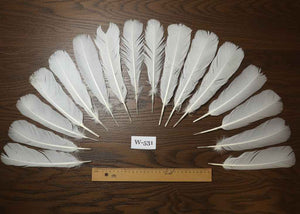 16 Pcs White Turkey Tail Feathers, Turkey Feathers,Fly Tying Material,Craft Feathers,Natural Turkey Feathers (W-531)