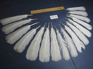 16 Pcs White Turkey Tail Feathers, Turkey Feathers,Fly Tying Material,Craft Feathers,Natural Turkey Feathers (W-531)