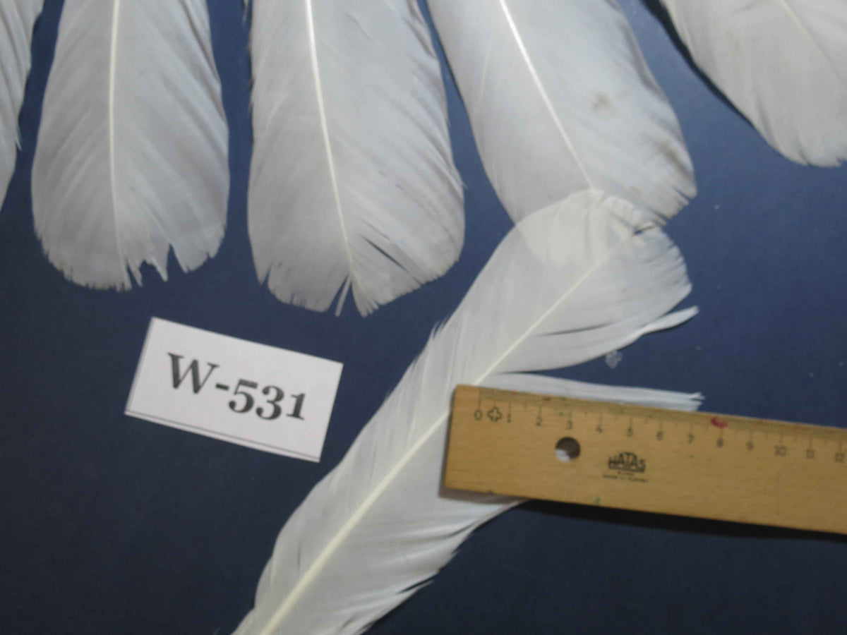 16 Pcs White Turkey Tail Feathers, Turkey Feathers,Fly Tying Material,Craft Feathers,Natural Turkey Feathers (W-531)