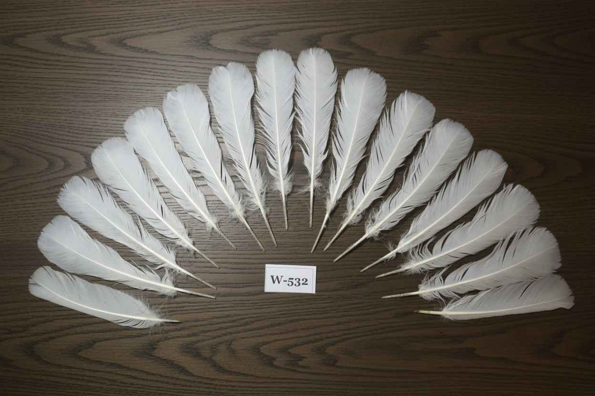 16 Pcs White Turkey Tail Feathers, Turkey Feathers,Fly Tying Material,Craft Feathers,Natural Turkey Feathers (W-532)