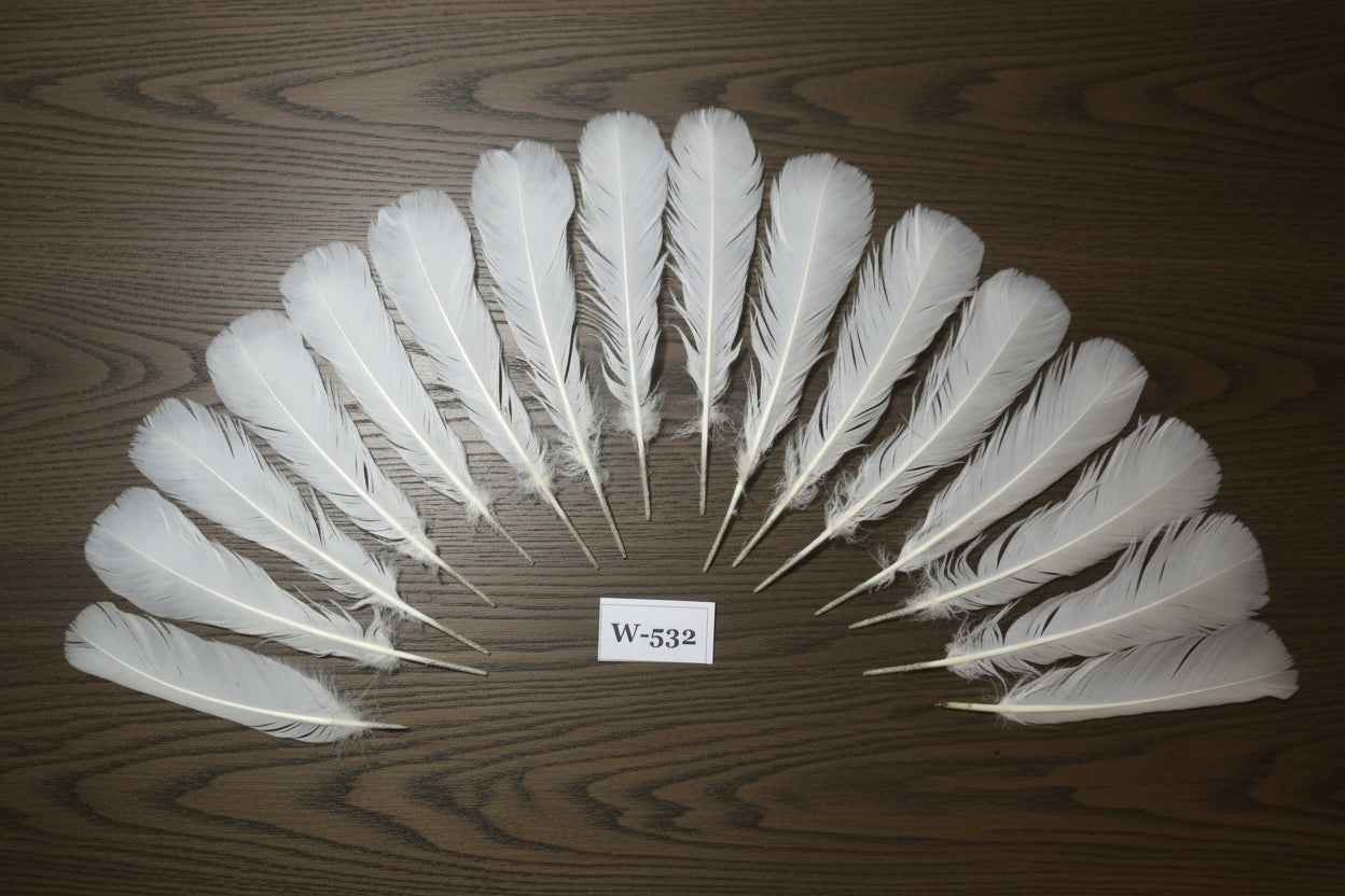 16 Pcs White Turkey Tail Feathers, Turkey Feathers,Fly Tying Material,Craft Feathers,Natural Turkey Feathers (W-532)
