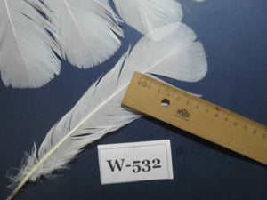 16 Pcs White Turkey Tail Feathers, Turkey Feathers,Fly Tying Material,Craft Feathers,Natural Turkey Feathers (W-532)