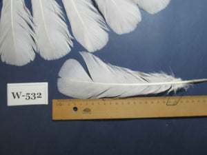 16 Pcs White Turkey Tail Feathers, Turkey Feathers,Fly Tying Material,Craft Feathers,Natural Turkey Feathers (W-532)