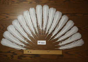 16 Pcs White Turkey Tail Feathers, Turkey Feathers,Fly Tying Material,Craft Feathers,Natural Turkey Feathers (W-533)