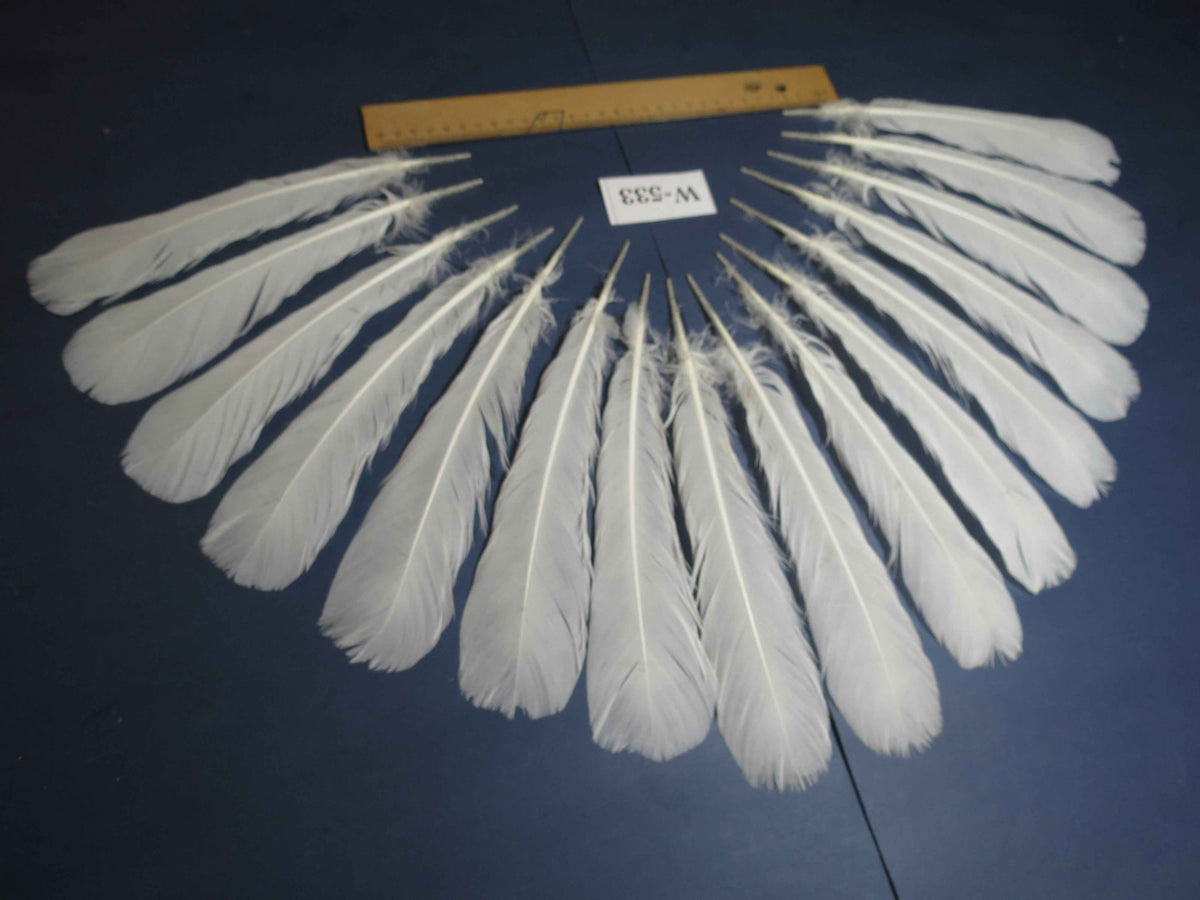 16 Pcs White Turkey Tail Feathers, Turkey Feathers,Fly Tying Material,Craft Feathers,Natural Turkey Feathers (W-533)
