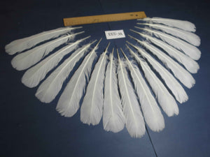 16 Pcs White Turkey Tail Feathers, Turkey Feathers,Fly Tying Material,Craft Feathers,Natural Turkey Feathers (W-533)