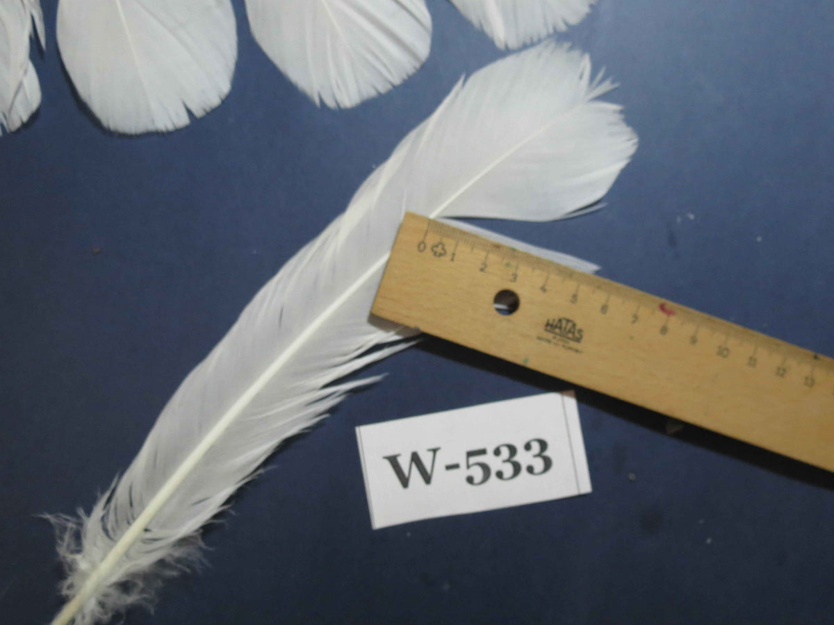16 Pcs White Turkey Tail Feathers, Turkey Feathers,Fly Tying Material,Craft Feathers,Natural Turkey Feathers (W-533)