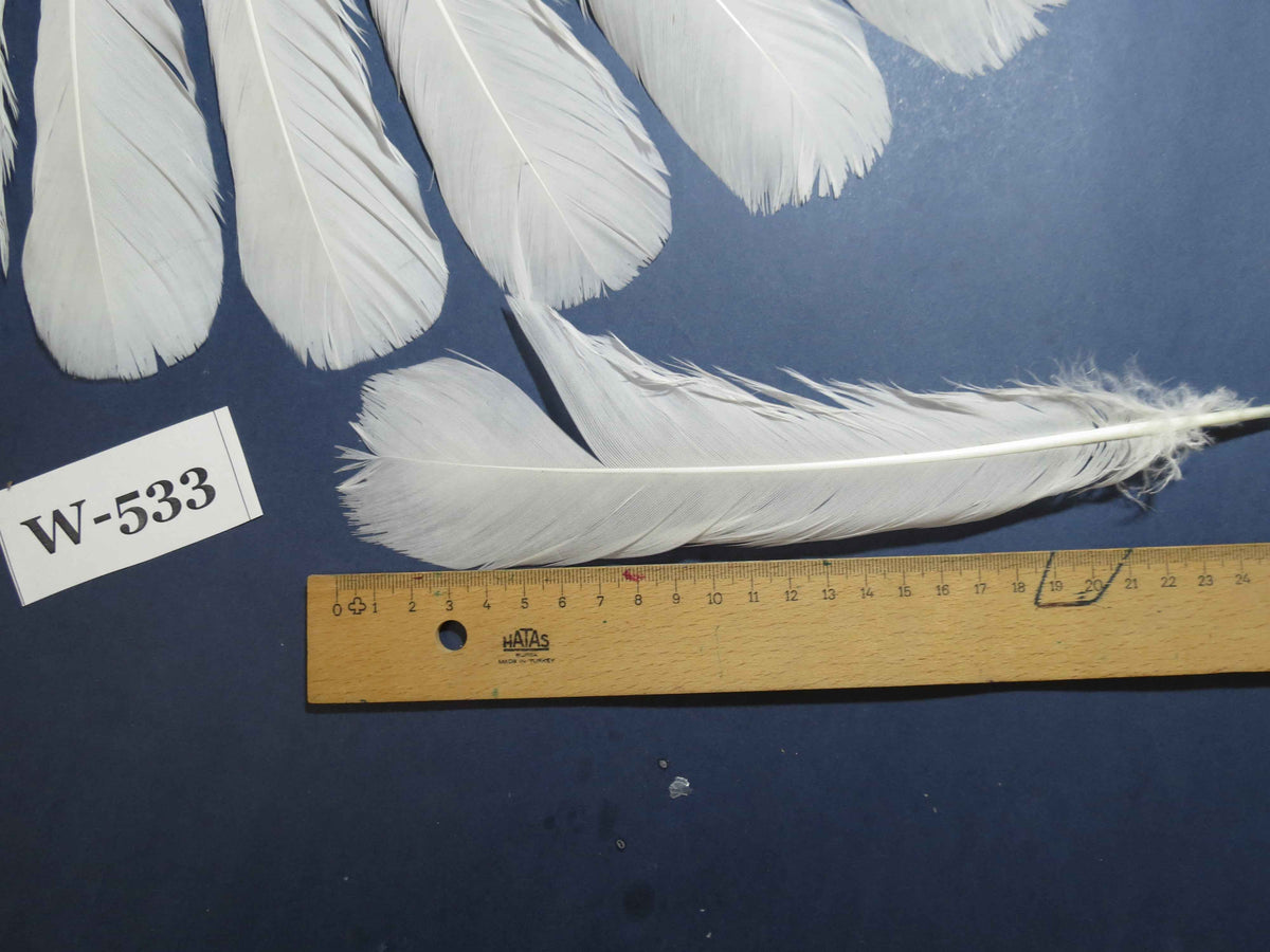 16 Pcs White Turkey Tail Feathers, Turkey Feathers,Fly Tying Material,Craft Feathers,Natural Turkey Feathers (W-533)