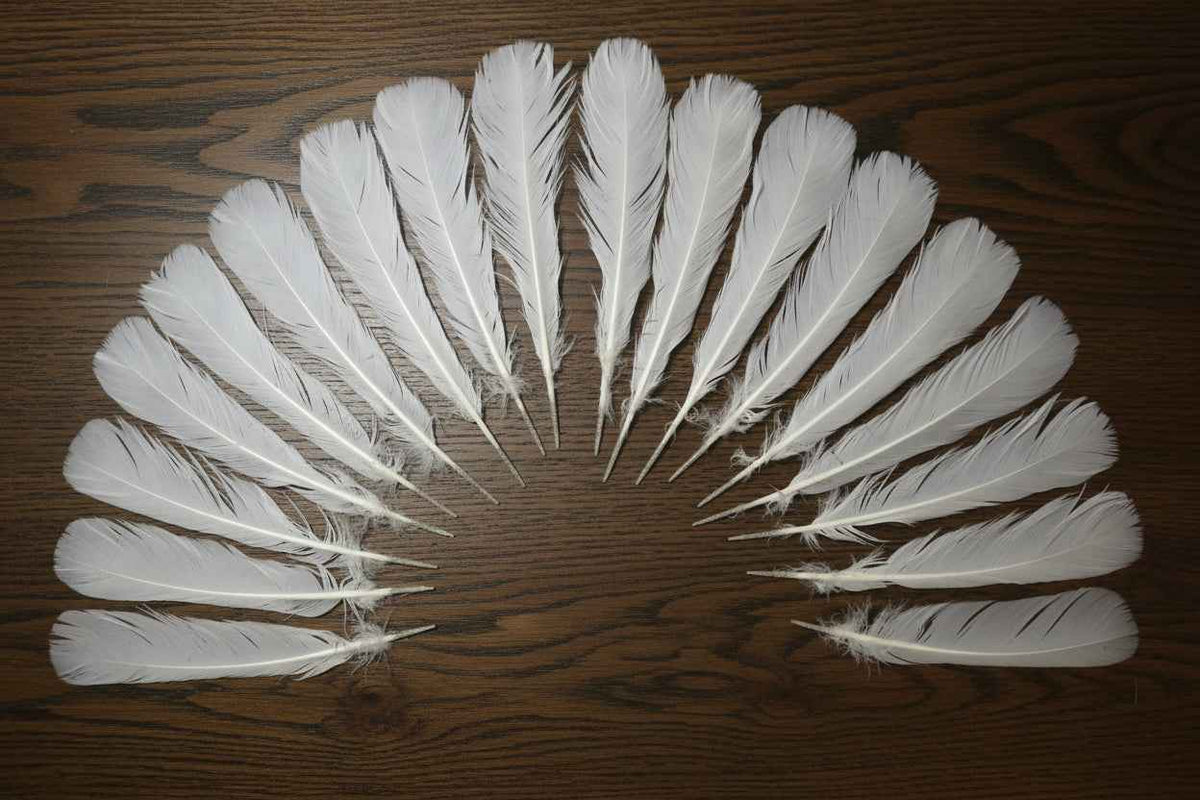 18 Pcs White Turkey Tail Feathers, Turkey Feathers,Fly Tying Material,Craft Feathers,Natural Turkey Feathers (W-534)