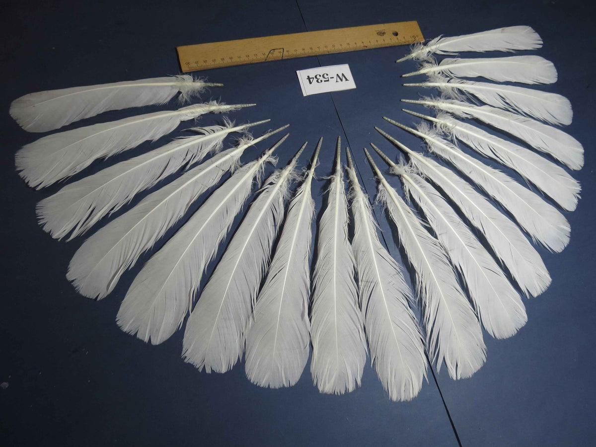 18 Pcs White Turkey Tail Feathers, Turkey Feathers,Fly Tying Material,Craft Feathers,Natural Turkey Feathers (W-534)