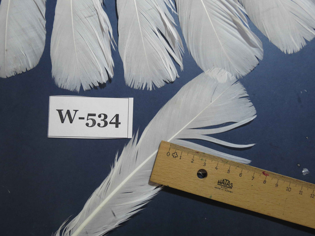 18 Pcs White Turkey Tail Feathers, Turkey Feathers,Fly Tying Material,Craft Feathers,Natural Turkey Feathers (W-534)