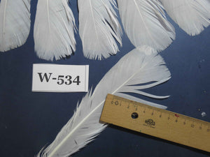 18 Pcs White Turkey Tail Feathers, Turkey Feathers,Fly Tying Material,Craft Feathers,Natural Turkey Feathers (W-534)
