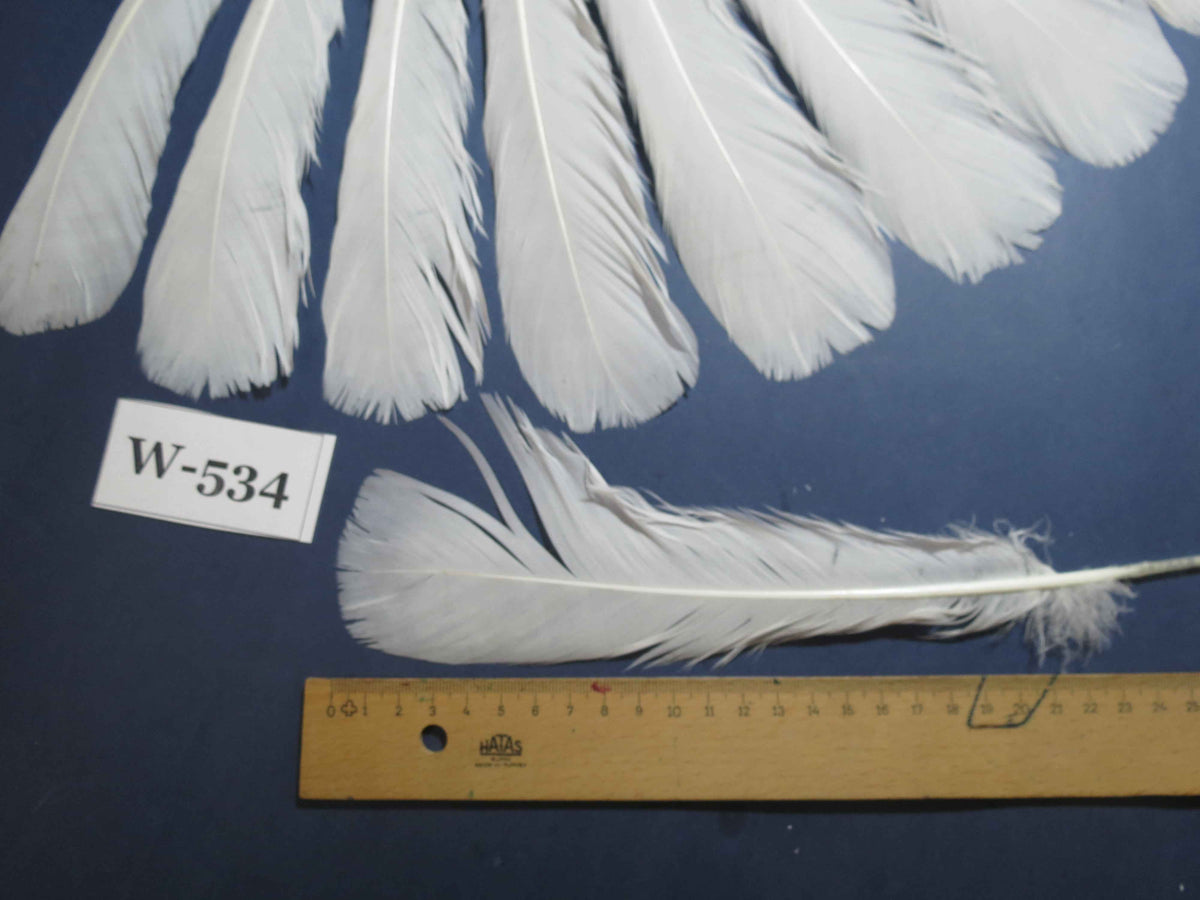 18 Pcs White Turkey Tail Feathers, Turkey Feathers,Fly Tying Material,Craft Feathers,Natural Turkey Feathers (W-534)