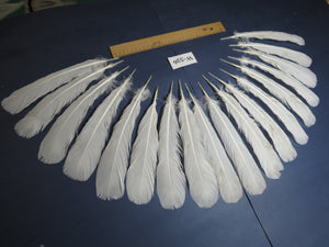 18 Pcs White Turkey Tail Feathers, Turkey Feathers,Fly Tying Material,Craft Feathers,Natural Turkey Feathers (W-536)