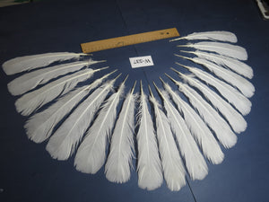 18 Pcs White Turkey Tail Feathers, Turkey Feathers,Fly Tying Material,Craft Feathers,Natural Turkey Feathers (W-537)