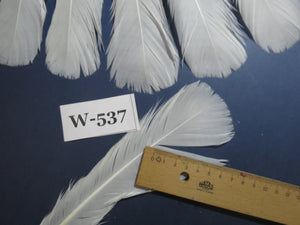 18 Pcs White Turkey Tail Feathers, Turkey Feathers,Fly Tying Material,Craft Feathers,Natural Turkey Feathers (W-537)