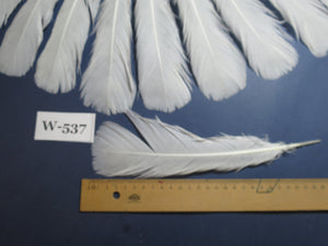 18 Pcs White Turkey Tail Feathers, Turkey Feathers,Fly Tying Material,Craft Feathers,Natural Turkey Feathers (W-537)