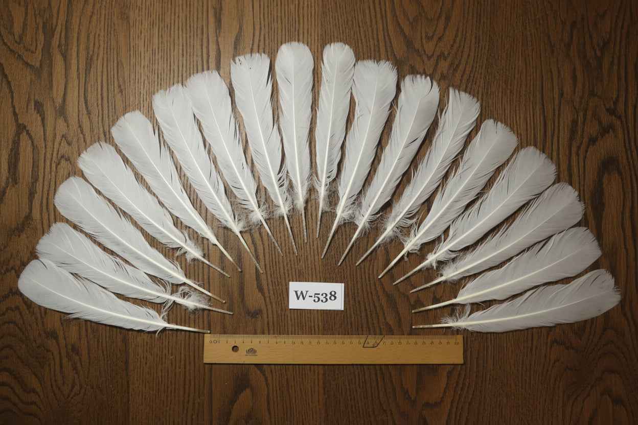 18 Pcs White Turkey Tail Feathers, Turkey Feathers,Fly Tying Material,Craft Feathers,Natural Turkey Feathers (W-538)