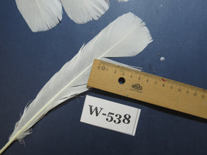 18 Pcs White Turkey Tail Feathers, Turkey Feathers,Fly Tying Material,Craft Feathers,Natural Turkey Feathers (W-538)