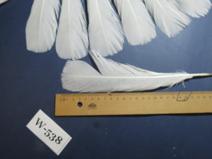 18 Pcs White Turkey Tail Feathers, Turkey Feathers,Fly Tying Material,Craft Feathers,Natural Turkey Feathers (W-538)