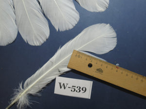 18 Pcs White Turkey Tail Feathers, Turkey Feathers,Fly Tying Material,Craft Feathers,Natural Turkey Feathers (W-539)