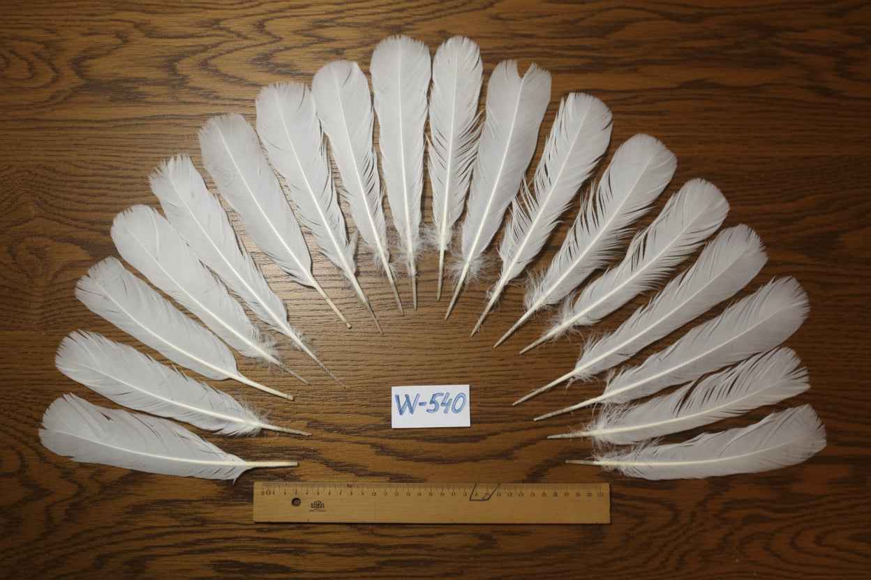 18 Pcs White Turkey Tail Feathers, Turkey Feathers,Fly Tying Material,Craft Feathers,Natural Turkey Feathers (W-540)