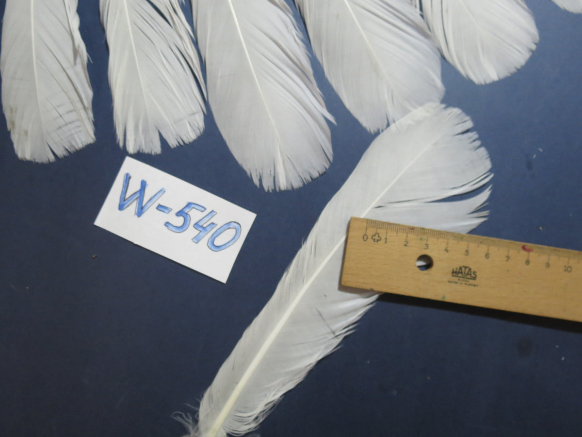 18 Pcs White Turkey Tail Feathers, Turkey Feathers,Fly Tying Material,Craft Feathers,Natural Turkey Feathers (W-540)