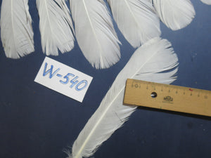 18 Pcs White Turkey Tail Feathers, Turkey Feathers,Fly Tying Material,Craft Feathers,Natural Turkey Feathers (W-540)