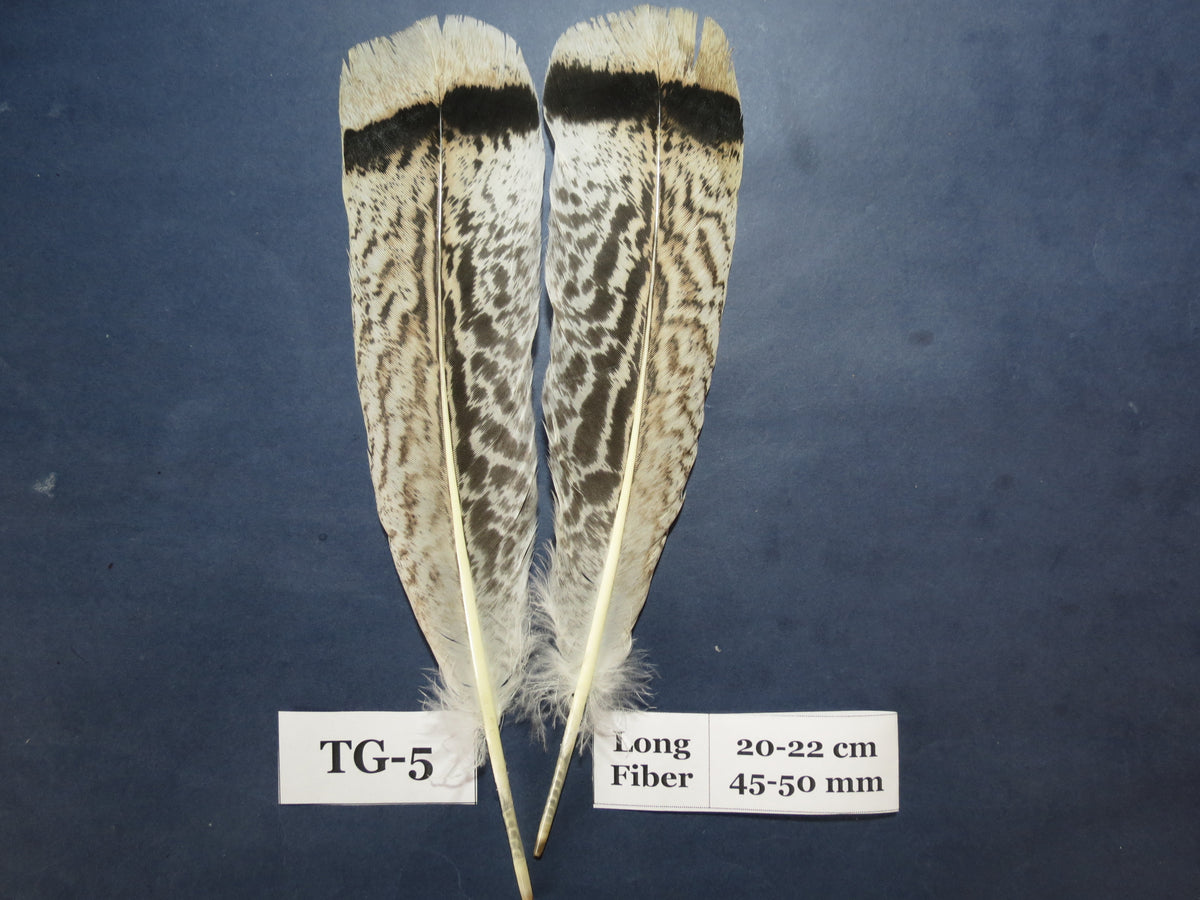 Tiger Turkey Tail Feathers  (One Pair Set) ,Fly Tying Material,Craft Feathers,Natural Turkey Feathers.