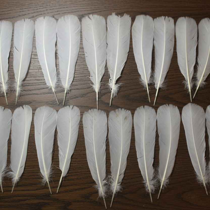 White Turkey Tail Feathers  (One Pair Set) ,Fly Tying Material,Craft Feathers,Natural Turkey Feathers.