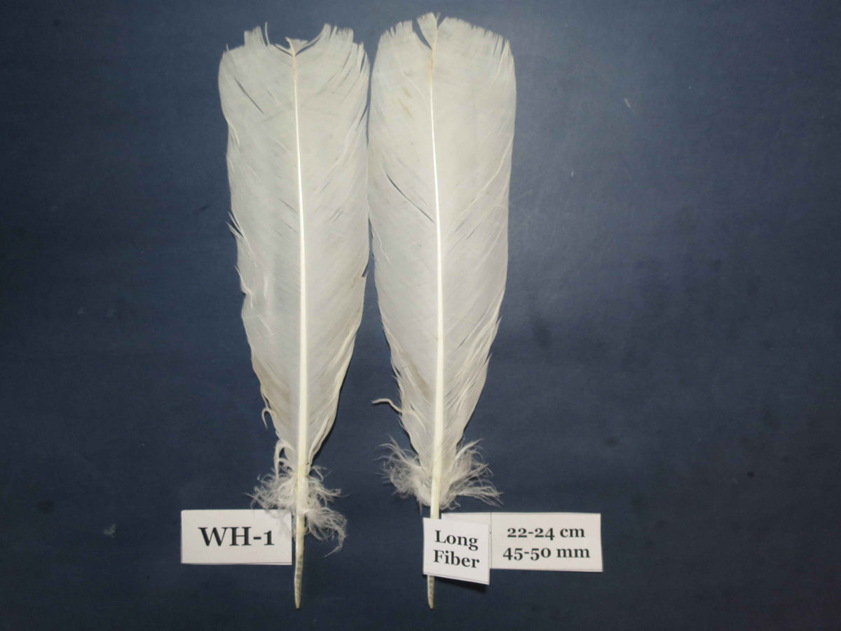 White Turkey Tail Feathers  (One Pair Set) ,Fly Tying Material,Craft Feathers,Natural Turkey Feathers.