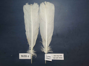 White Turkey Tail Feathers  (One Pair Set) ,Fly Tying Material,Craft Feathers,Natural Turkey Feathers.