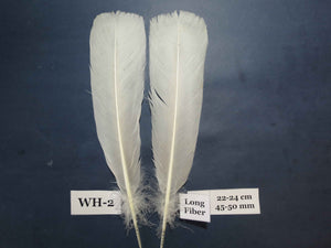 White Turkey Tail Feathers  (One Pair Set) ,Fly Tying Material,Craft Feathers,Natural Turkey Feathers.