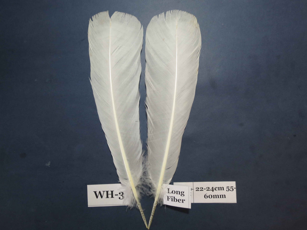 White Turkey Tail Feathers  (One Pair Set) ,Fly Tying Material,Craft Feathers,Natural Turkey Feathers.