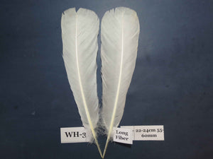 White Turkey Tail Feathers  (One Pair Set) ,Fly Tying Material,Craft Feathers,Natural Turkey Feathers.