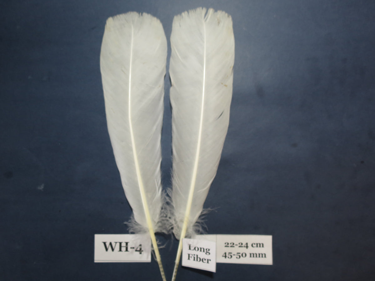 White Turkey Tail Feathers  (One Pair Set) ,Fly Tying Material,Craft Feathers,Natural Turkey Feathers.