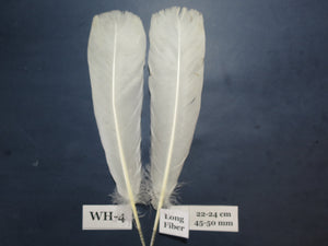 White Turkey Tail Feathers  (One Pair Set) ,Fly Tying Material,Craft Feathers,Natural Turkey Feathers.