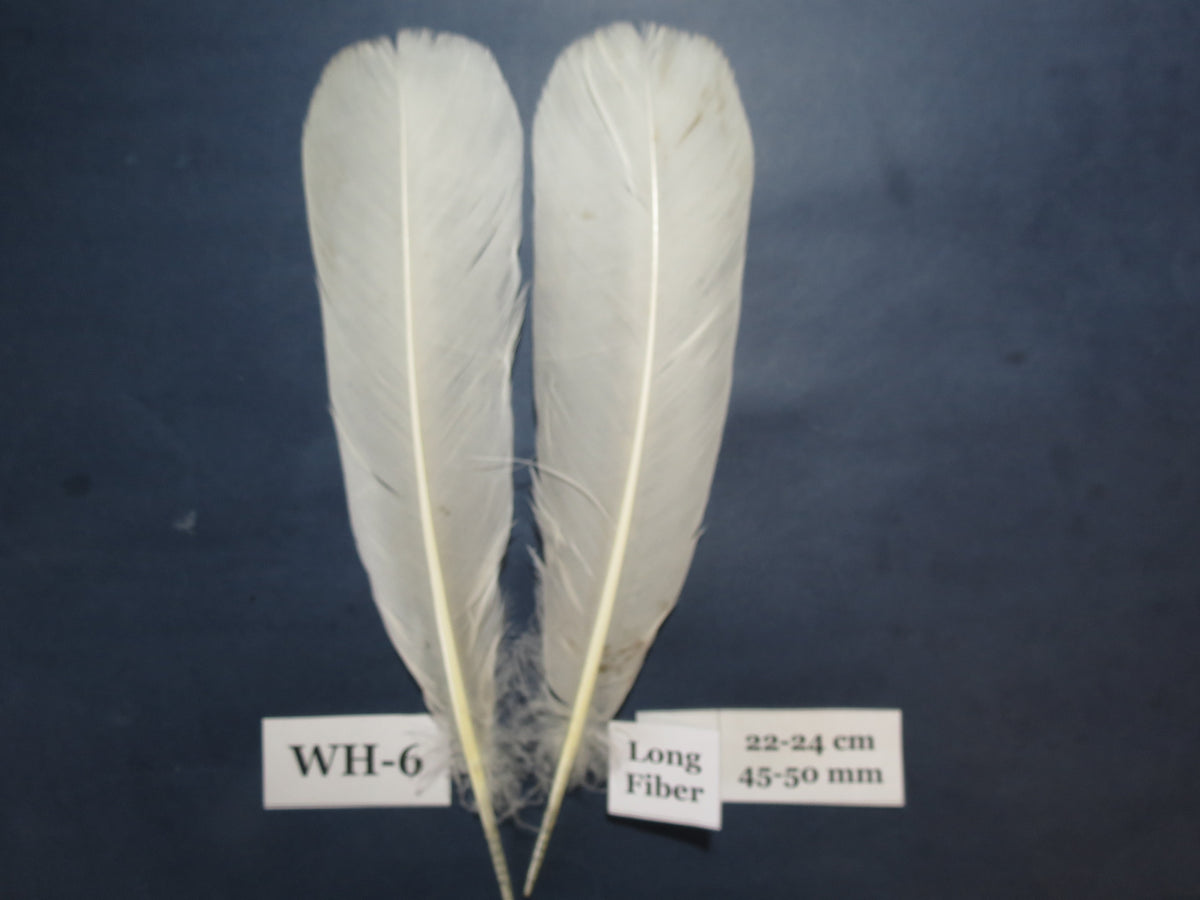 White Turkey Tail Feathers  (One Pair Set) ,Fly Tying Material,Craft Feathers,Natural Turkey Feathers.