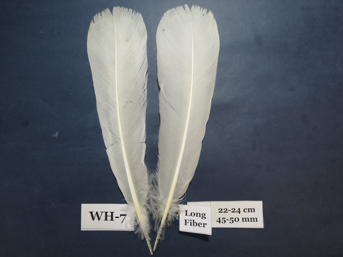 White Turkey Tail Feathers  (One Pair Set) ,Fly Tying Material,Craft Feathers,Natural Turkey Feathers.