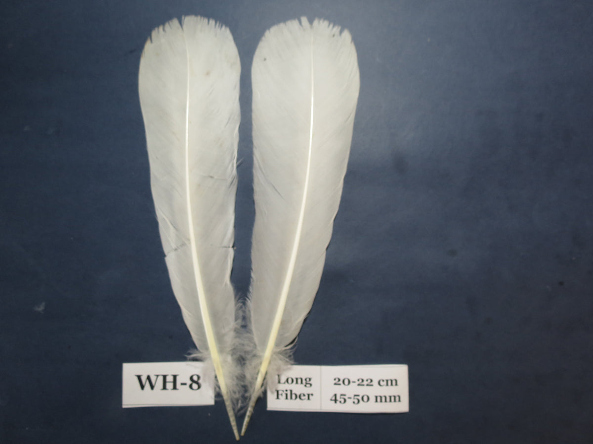 White Turkey Tail Feathers  (One Pair Set) ,Fly Tying Material,Craft Feathers,Natural Turkey Feathers.