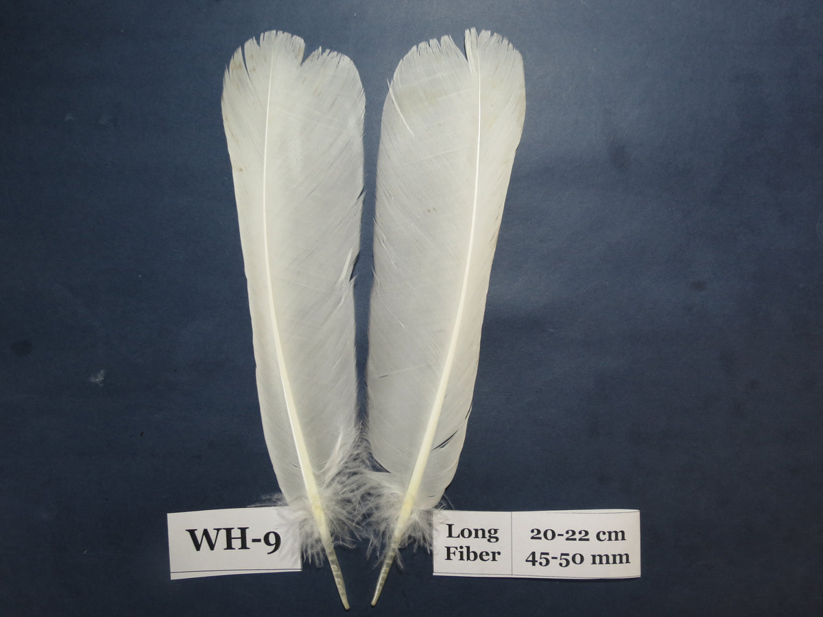 White Turkey Tail Feathers  (One Pair Set) ,Fly Tying Material,Craft Feathers,Natural Turkey Feathers.