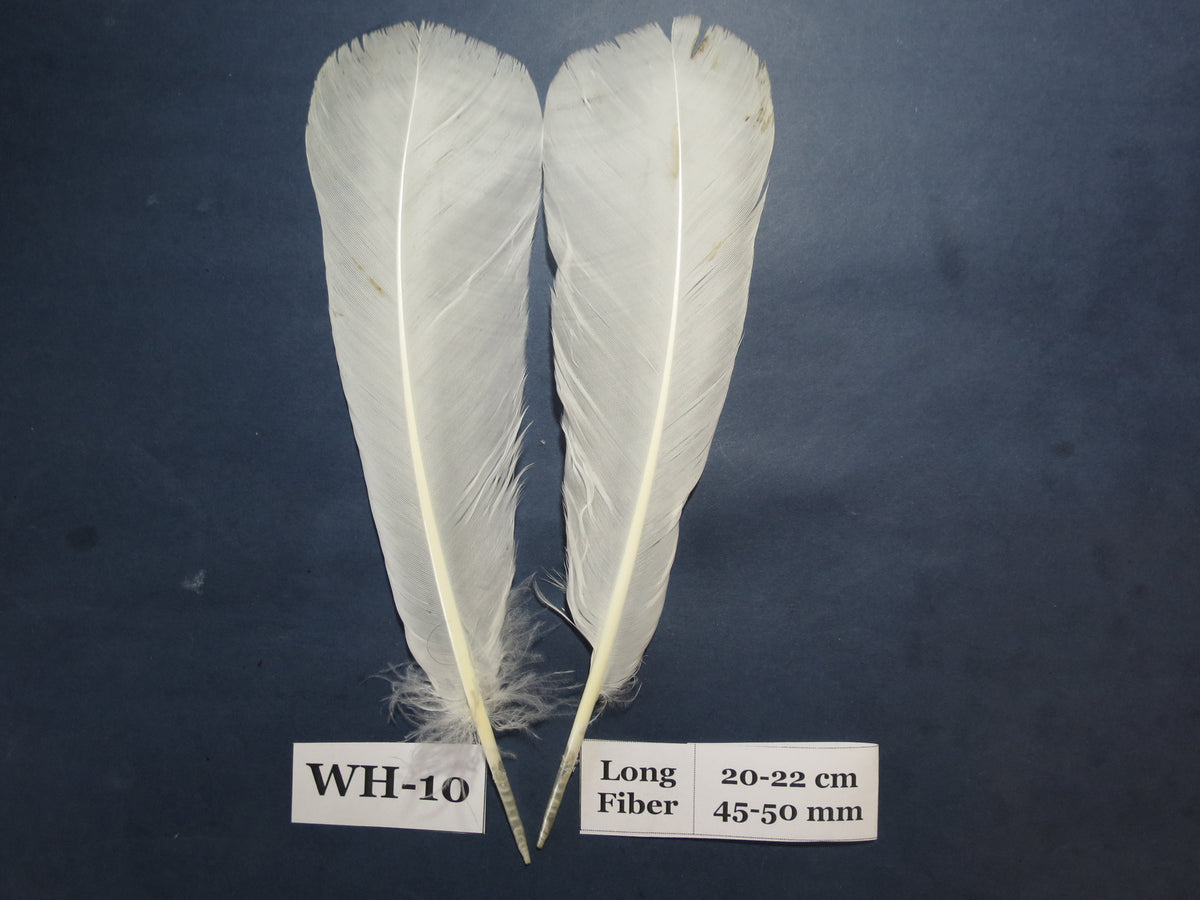 White Turkey Tail Feathers  (One Pair Set) ,Fly Tying Material,Craft Feathers,Natural Turkey Feathers.