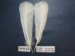 White Turkey Tail Feathers  (One Pair Set) ,Fly Tying Material,Craft Feathers,Natural Turkey Feathers.