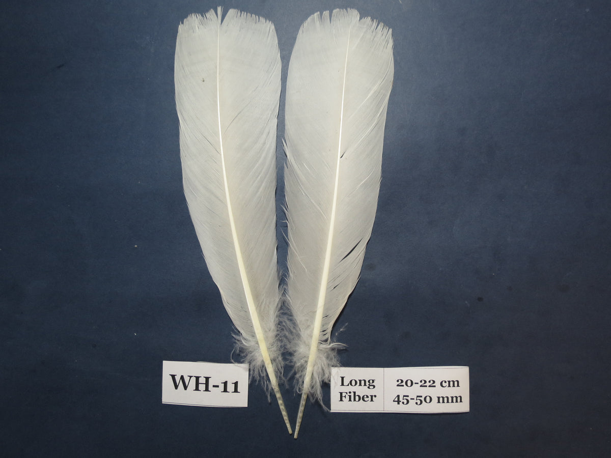 White Turkey Tail Feathers  (One Pair Set) ,Fly Tying Material,Craft Feathers,Natural Turkey Feathers.