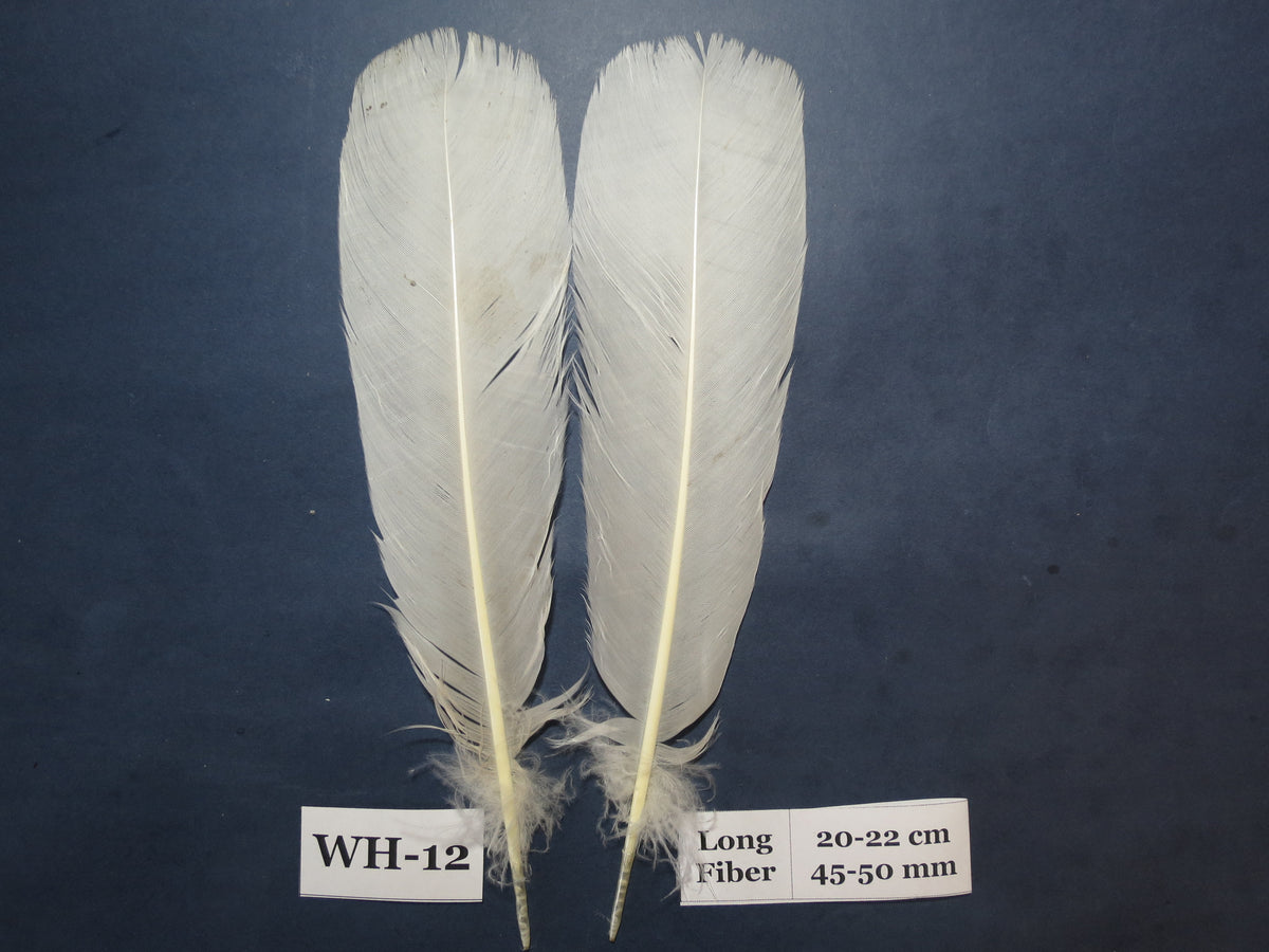 White Turkey Tail Feathers  (One Pair Set) ,Fly Tying Material,Craft Feathers,Natural Turkey Feathers.