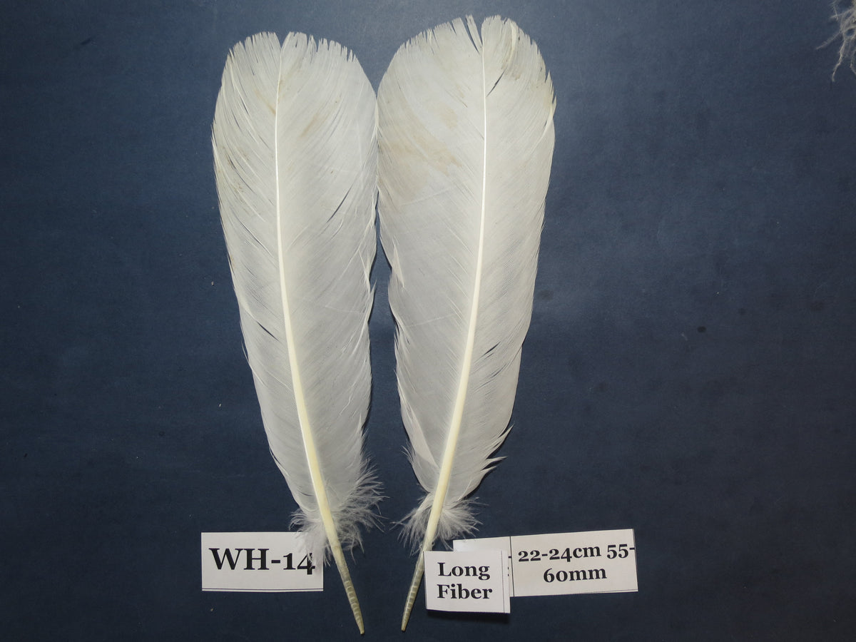 White Turkey Tail Feathers  (One Pair Set) ,Fly Tying Material,Craft Feathers,Natural Turkey Feathers.
