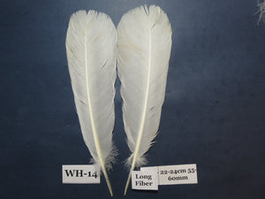 White Turkey Tail Feathers  (One Pair Set) ,Fly Tying Material,Craft Feathers,Natural Turkey Feathers.